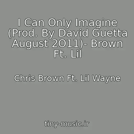 کاور آهنگ I Can Only Imagine (Prod. By David Guetta August 2O11)- Brown Ft. Lil از Chris Brown Ft. Lil Wayne