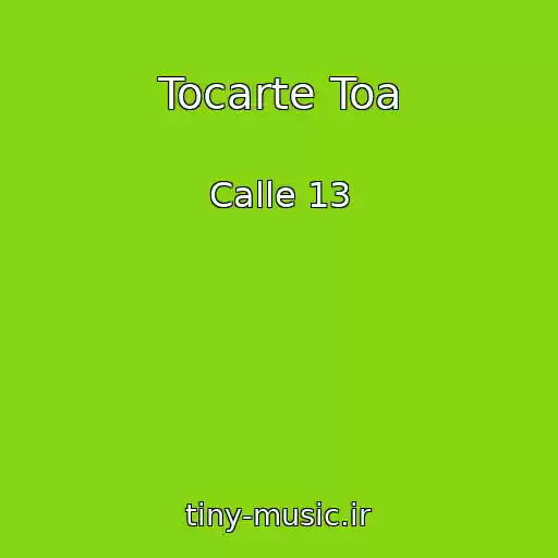 کاور آهنگ Tocarte Toa از Calle 13