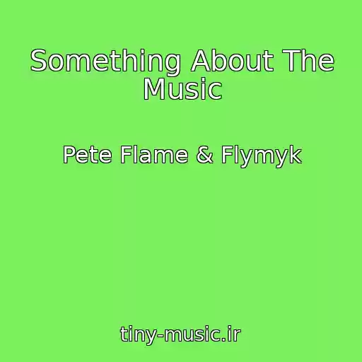 کاور آهنگ Something About The Music از Pete Flame & Flymyk