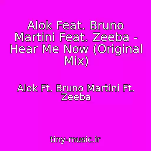 کاور آهنگ Alok Feat. Bruno Martini Feat. Zeeba - Hear Me Now (Original Mix) از Alok Ft. Bruno Martini Ft. Zeeba