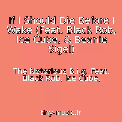 کاور آهنگ If I Should Die Before I Wake (Feat. Black Rob, Ice Cube, & Beanie Sigel) از The Notorious B.i.g. Feat. Black Rob, Ice Cube,
