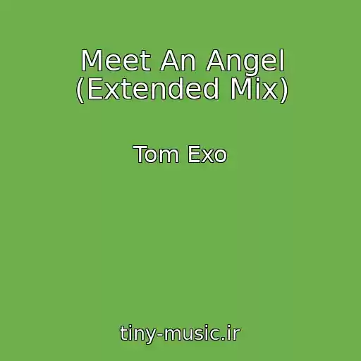 کاور آهنگ Meet An Angel (Extended Mix) از Tom Exo