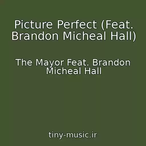 کاور آهنگ Picture Perfect (Feat. Brandon Micheal Hall) از The Mayor Feat. Brandon Micheal Hall