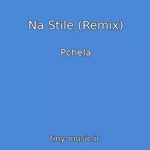 کاور آهنگ Na Stile (Remix) از Pchela