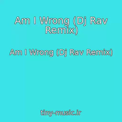 کاور آهنگ Am I Wrong (Dj Rav Remix) از Am I Wrong (Dj Rav Remix)