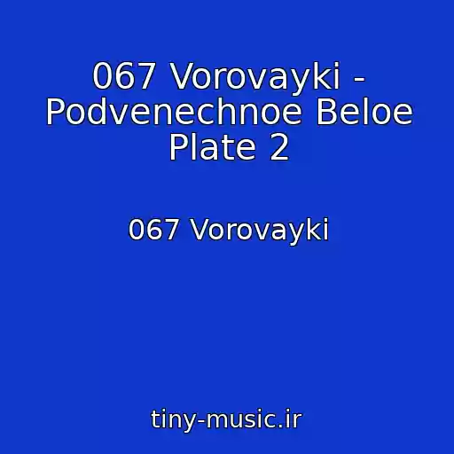 کاور آهنگ 067 Vorovayki - Podvenechnoe Beloe Plate 2 از 067 Vorovayki