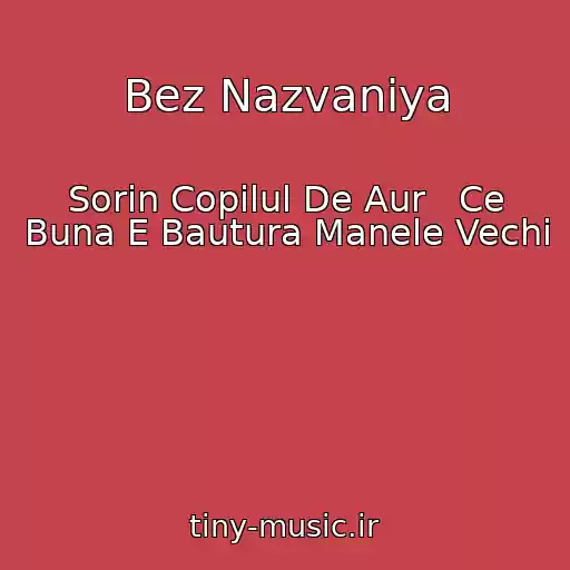 کاور آهنگ Bez Nazvaniya از Sorin Copilul De Aur   Ce Buna E Bautura Manele Vechi
