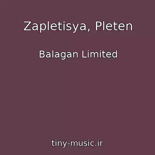 کاور آهنگ Zapletisya, Pleten از Balagan Limited