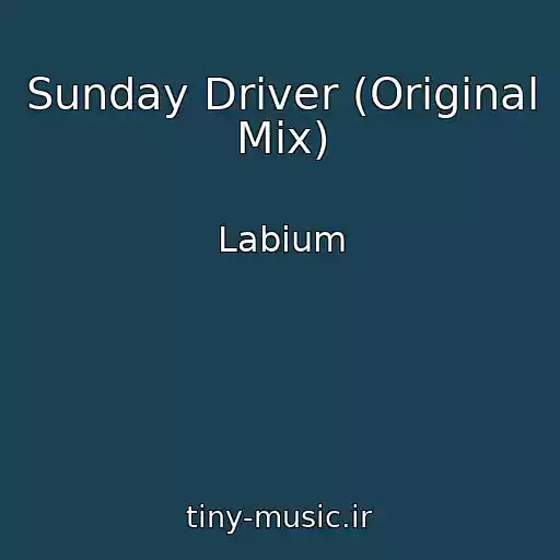کاور آهنگ Sunday Driver (Original Mix) از Labium