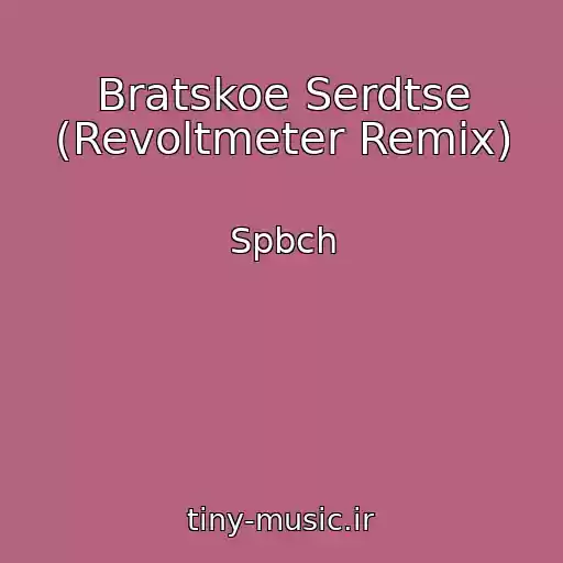 کاور آهنگ Bratskoe Serdtse (Revoltmeter Remix) از Spbch