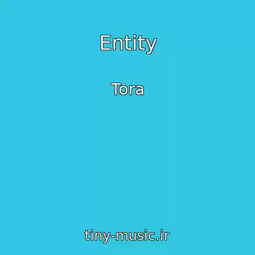 کاور آهنگ Entity از Tora