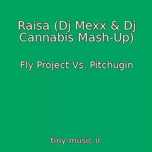 کاور آهنگ Raisa (Dj Mexx & Dj Cannabis Mash-Up) از Fly Project Vs. Pitchugin