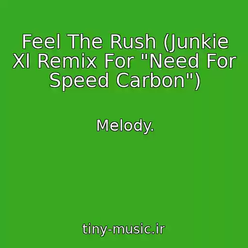 کاور آهنگ Feel The Rush (Junkie Xl Remix For "Need For Speed Carbon") از Melody.