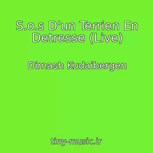 کاور آهنگ S.o.s D'un Terrien En Detresse (Live) از Dimash Kudaibergen