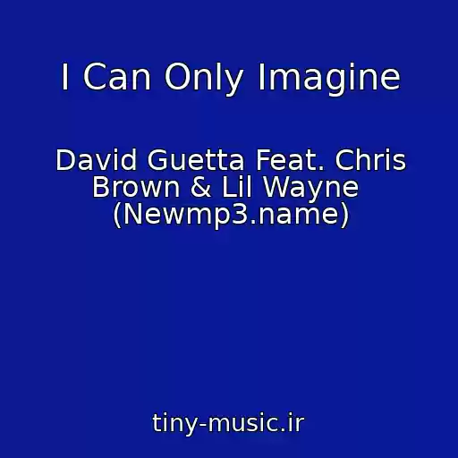 کاور آهنگ I Can Only Imagine از David Guetta Feat. Chris Brown & Lil Wayne  (Newmp3.name)