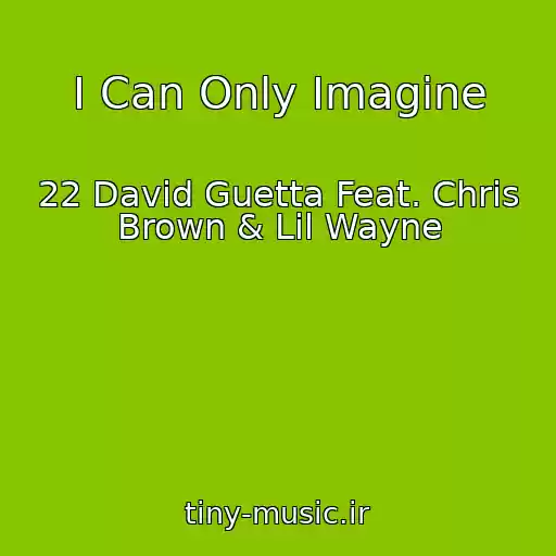 کاور آهنگ I Can Only Imagine از 22 David Guetta Feat. Chris Brown & Lil Wayne