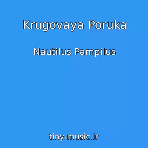 کاور آهنگ Krugovaya Poruka از Nautilus Pampilus