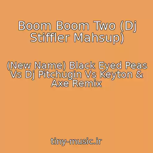 کاور آهنگ Boom Boom Two (Dj Stiffler Mahsup) از (New Name) Black Eyed Peas Vs Dj Pitchugin Vs Keyton & Axe Remix