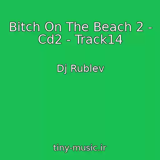 کاور آهنگ Bitch On The Beach 2 - Cd2 - Track14 از Dj Rublev