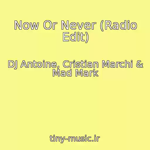 کاور آهنگ Now Or Never (Radio Edit) از DJ Antoine, Cristian Marchi & Mad Mark
