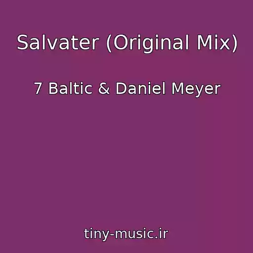 کاور آهنگ Salvater (Original Mix) از 7 Baltic & Daniel Meyer