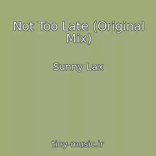 کاور آهنگ Not Too Late (Original Mix) از Sunny Lax