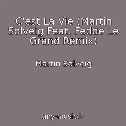 کاور آهنگ C'est La Vie (Martin Solveig Feat. Fedde Le Grand Remix) از Martin Solveig