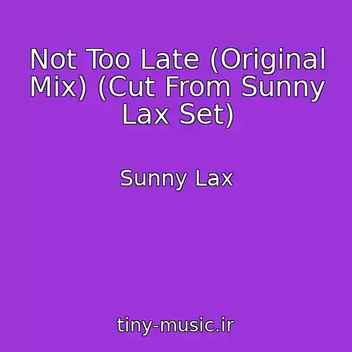 کاور آهنگ Not Too Late (Original Mix) (Cut From Sunny Lax Set) از Sunny Lax
