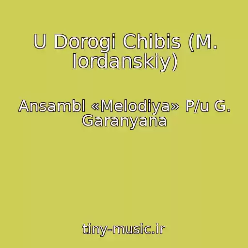 کاور آهنگ U Dorogi Chibis (M. Iordanskiy) از Ansambl «Melodiya» P/u G. Garanyana