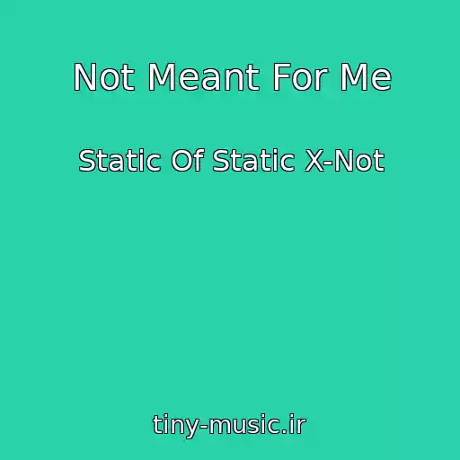 کاور آهنگ Not Meant For Me از Static Of Static X-Not