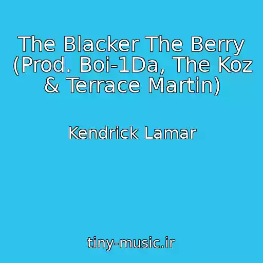 کاور آهنگ The Blacker The Berry (Prod. Boi-1Da, The Koz & Terrace Martin) از Kendrick Lamar