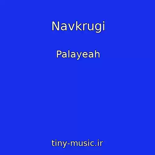 کاور آهنگ Navkrugi از Palayeah