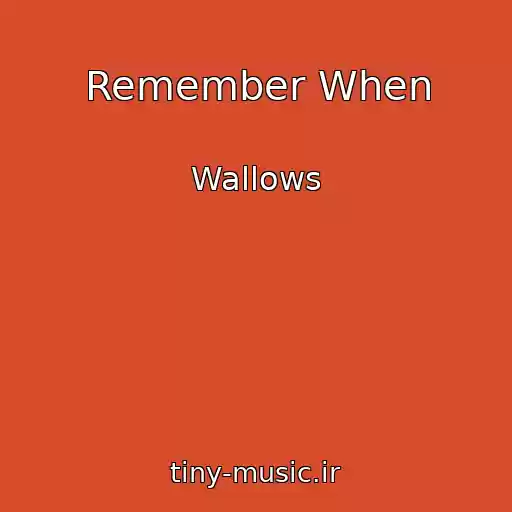 کاور آهنگ Remember When از Wallows
