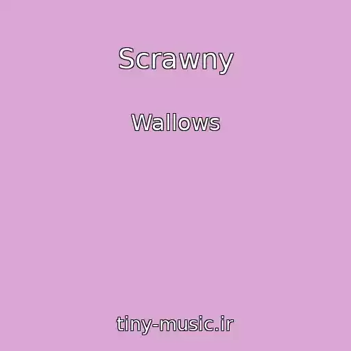 کاور آهنگ Scrawny از Wallows