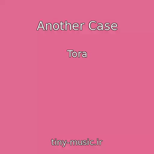 کاور آهنگ Another Case از Tora