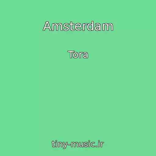 کاور آهنگ Amsterdam از Tora