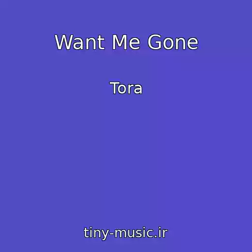 کاور آهنگ Want Me Gone از Tora