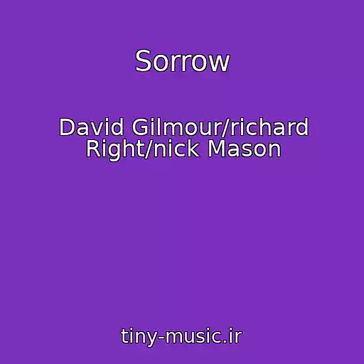 کاور آهنگ Sorrow از David Gilmour/richard Right/nick Mason