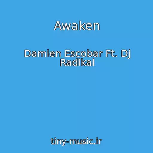 کاور آهنگ Awaken از Damien Escobar Ft. Dj Radikal