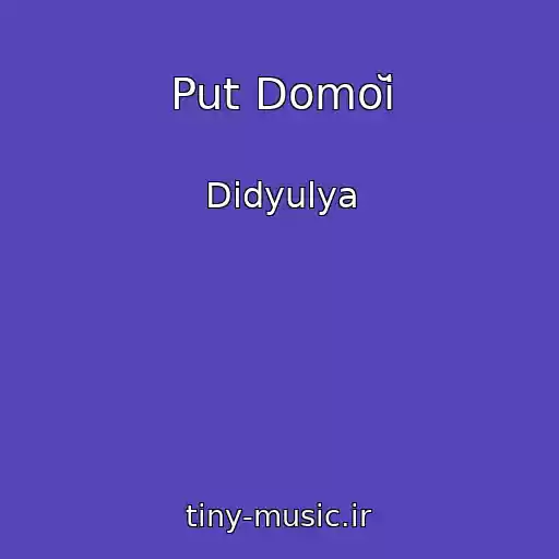کاور آهنگ Put Domoĭ از Didyulya