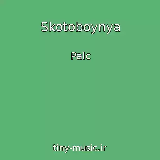 کاور آهنگ Skotoboynya از Palc