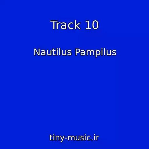 کاور آهنگ Track 10 از Nautilus Pampilus