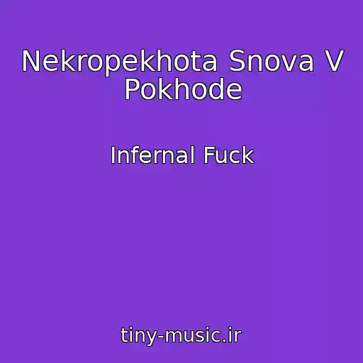 کاور آهنگ Nekropekhota Snova V Pokhode از Infernal Fuck