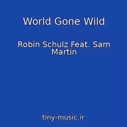 کاور آهنگ World Gone Wild از Robin Schulz Feat. Sam Martin