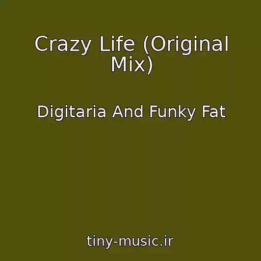کاور آهنگ Crazy Life (Original Mix) از Digitaria And Funky Fat