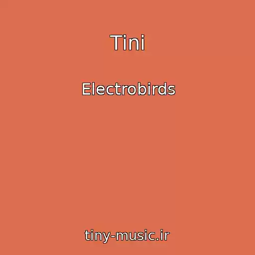 کاور آهنگ Tіnі از Electrobirds