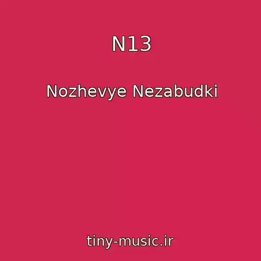 کاور آهنگ N13 از Nozhevye Nezabudki