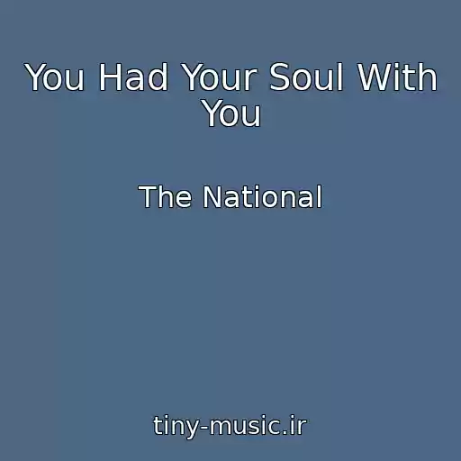 کاور آهنگ You Had Your Soul With You از The National