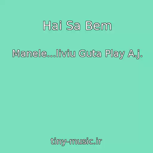 کاور آهنگ Hai Sa Bem از Manele...liviu Guta Play A.j.