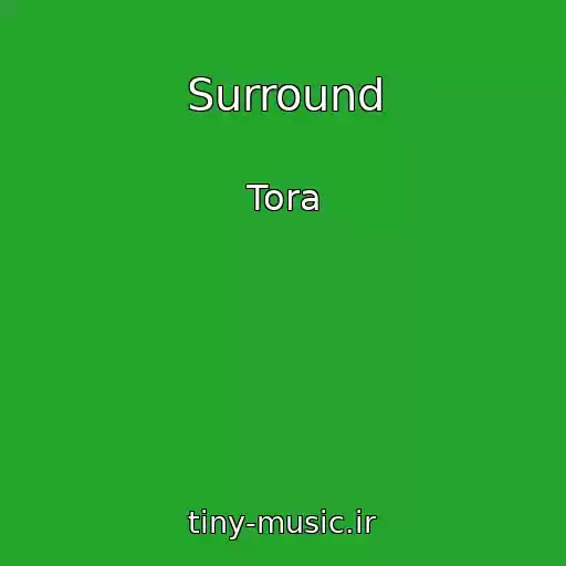 کاور آهنگ Surround از Tora